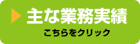 主な業務実績